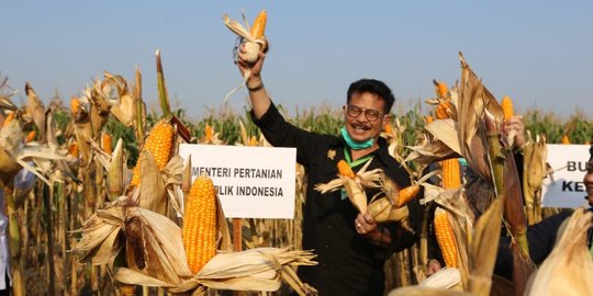 Mentan: Food Estate Tidak Ganggu Kawasan Hutan