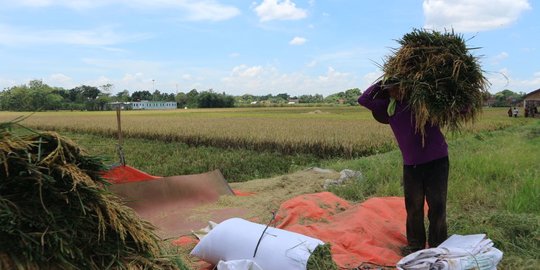 Pupuk Indonesia Diminta Tingkatkan Produktivitas Petani Lewat Program Agro Solution