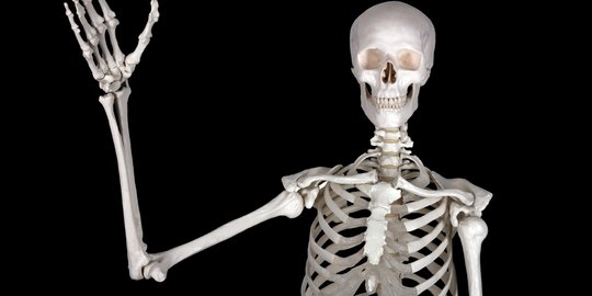 Fungsi Tulang Rusuk Untuk Lindungi Organ Vital Dada Pahami Struktur Dan Jumlahnya Merdeka Com