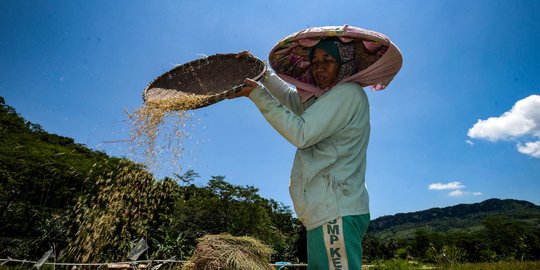 Alokasi KUR Petani