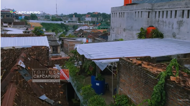 atap rumah ini jadi kebun cabai