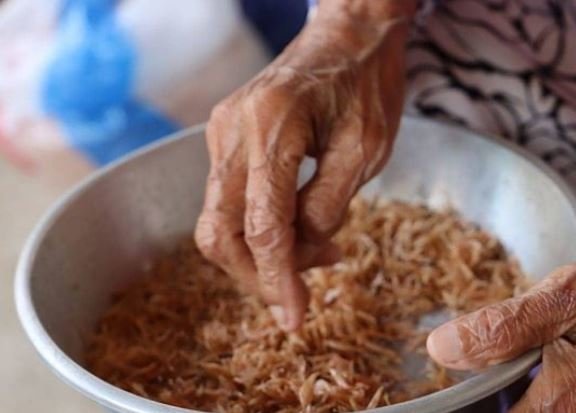 udang rebon khas pekalongan