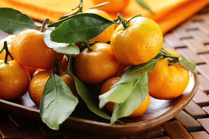 ilustrasi jeruk mandarin