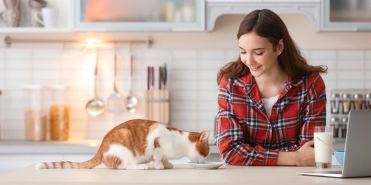 Bantu Jaga Kesehatan Kucing dengan Sumber Asam Lemak Omega 3