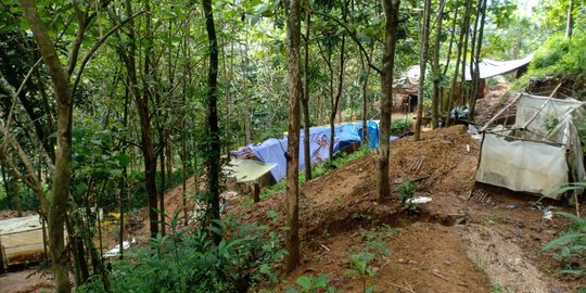 Ratusan Lubang Galian Emas Ilegal Ditemukan di Tasikmalaya