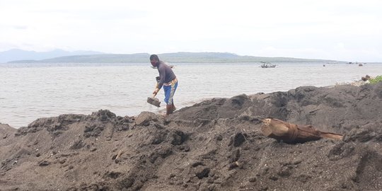 Bangkai Paus Orca di Banyuwangi Dikubur