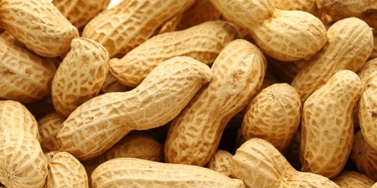 8 Manfaat Kacang Tanah Rebus, Cegah Stroke dan Tingkatkan Kesuburan