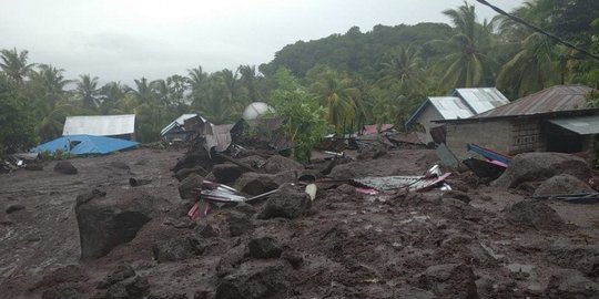 Cuaca Tak Kondusif, Kepala BNPB Tinjau Lokasi Banjir di NTT Melalui Jalur Darat