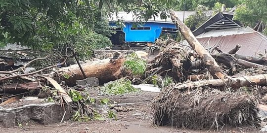 Jokowi Minta BNPB, Basarnas, TNI dan Polri Percepat Evakuasi Korban Banjir NTT