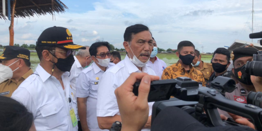 Menko Luhut Dorong Kolaborasi di Food Estate Libatkan Kementan, PUPR dan Peneliti