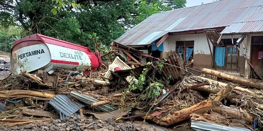 BNPB Kerahkan SAR Dog Percepat Pencarian Korban Bencana di NTT