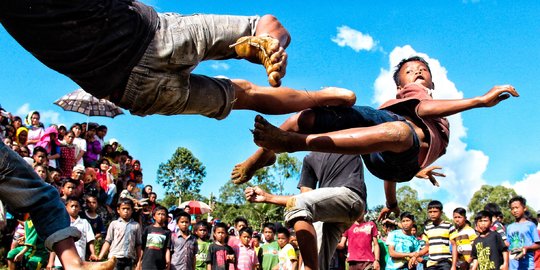 Serunya Ritual Sisemba, Duel Kaki Pasca Panen Padi di Toraja