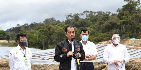food estate di kalteng dan sumut jadi contoh wilayah lain