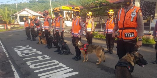 6 Anjing Pelacak Diharapkan Bisa Temukan Puluhan Korban Banjir yang Hilang di NTT