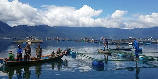 Lima Ton Ikan di Danau Maninjau Mati Mendadak Akibat Angin Kencang