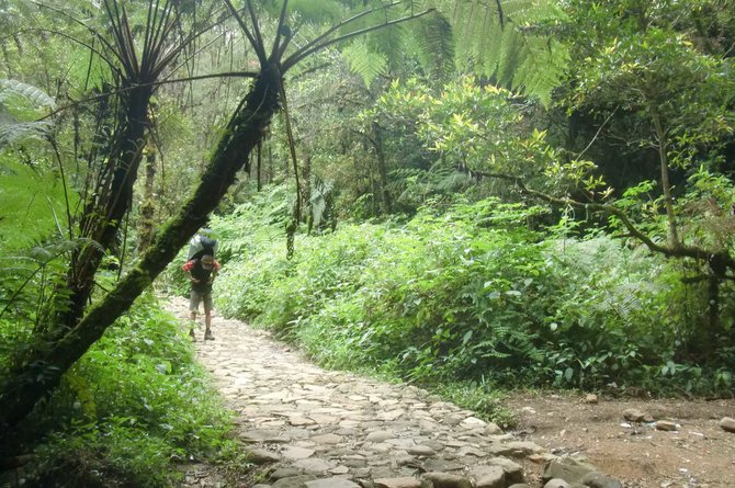 gunung gede pangrango