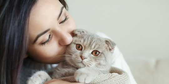 Cara Terbaik Menggendong Kucing, Anti Ditinggal Kabur dan Kena 
