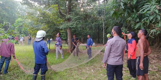 Panjat Pohon Kelapa, Pria di Karawang Mencoba Bunuh Diri