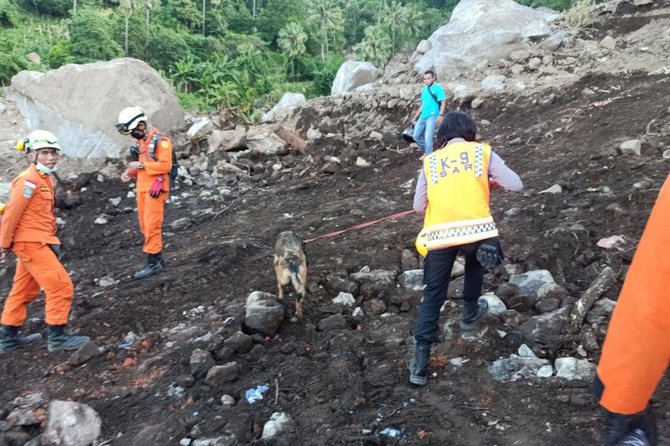 anjing k9 milik polri mencari korban longsor lembata