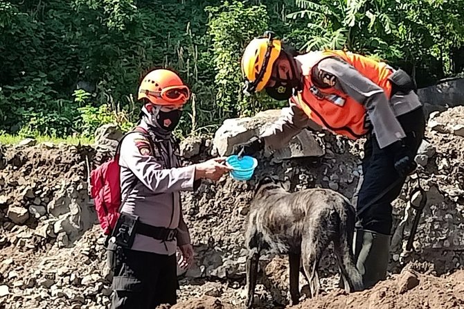 anjing k9 milik polri mencari korban longsor lembata