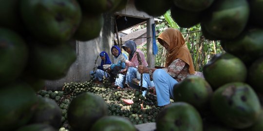 Produksi Kolang-Kaling di Semarang, Primadona Buka Puasa Khas Ramadan