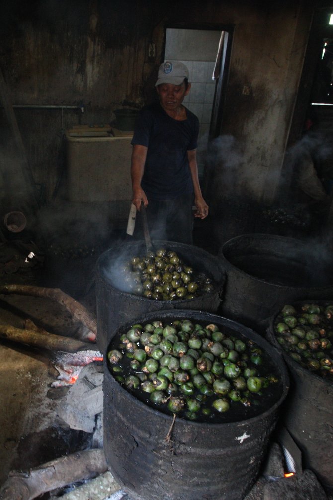 produksi kolang kaling di semarang