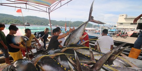 harga ikan terpantau stabil jelang ramadan 2021