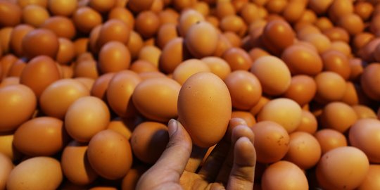 Kenaikan Harga Telur Ayam Dinilai Lebih Rendah dari Ramadan 2020