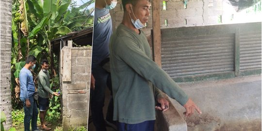 Hendak Dijual saat Hari Raya Galungan, 10 Babi Peternak di Bali Hilang Dicuri