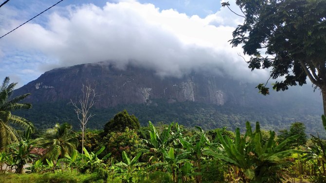 menguji adrenalin mendaki bukit kelam di tanah borneo