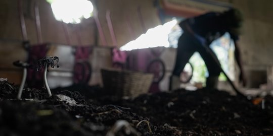 Pengelolaan Sampah dengan Belatung Maggot di Kampung Jelekong