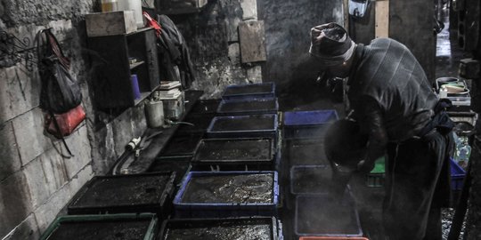 Geliat Industri Cincau Hitam di Masa Pandemi