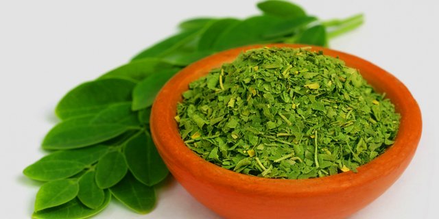 5 Manfaat Masker Daun Kelor, Bantu Atasi Jerawat Membandel