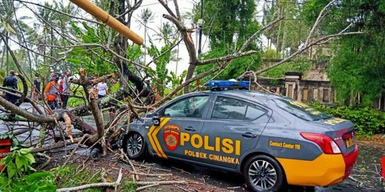 Mobil Tertimpa Pohon Tumbang di Jakarta Pusat Bisa Ajukan Klaim Asuransi