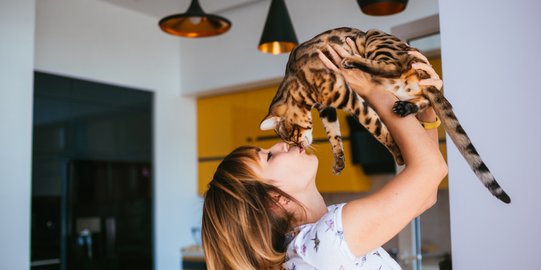 Lebih dari Sekadar Pemanis, Ini 5 Fakta Keren Ekor Kucing