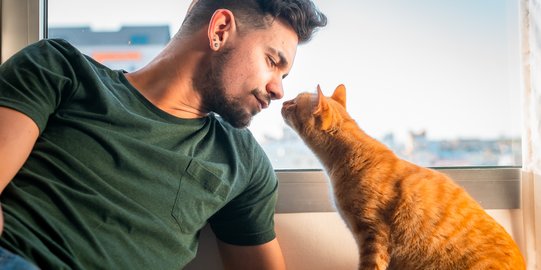 Ingin Me-Time Sejenak Tanpa Dibuntuti Kucing Kesayangan, Begini Caranya!