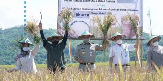 Pemprov DKI Targetkan Kerja Sama dengan Cilacap Cakup 1.000 Hektare Sawah