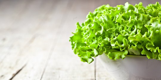 Pria Australia Temukan Ular 20 Sentimer dalam Selada yang Dibeli di Supermarket