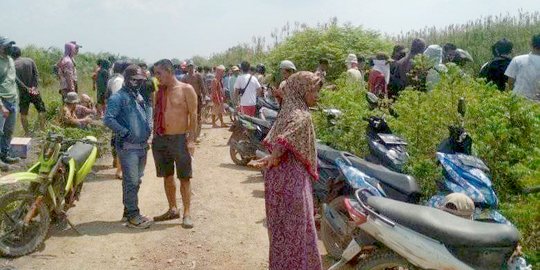 Diterkam Buaya saat Mencari Rumput, Warga Banyuasin Hilang