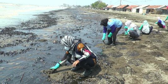 phe omwj klaim tumpahan minyak imbas pipa bocor di pantai karawang berhasil ditangani
