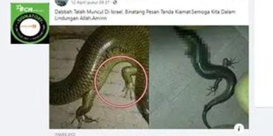 CEK FAKTA: Tidak Benar Dabbah Hewan Tanda Kiamat Muncul di Israel