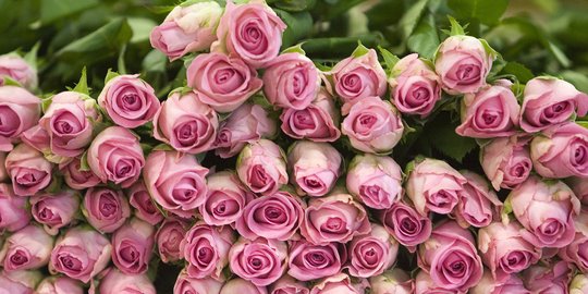 7 Jenis Bunga yang Kaya Manfaat untuk Kesehatan Kulit, Bantu Tampil Cantik Alami