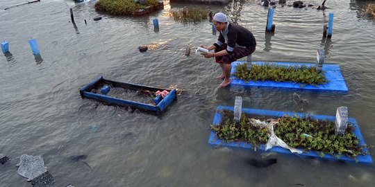 Khusyuknya Berziarah di Tengah Makam Tambaklorok yang Tenggelam