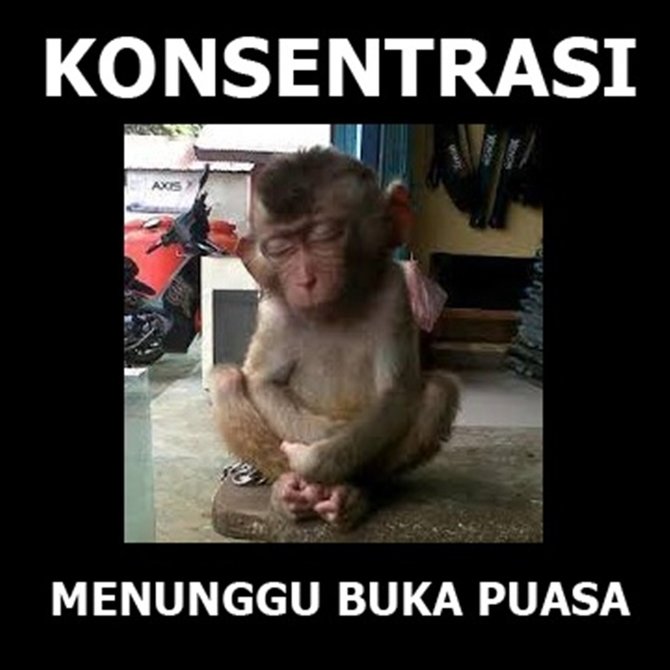 20 Meme Lucu Puasa Yang Bikin Ngakak Dan Menghibur Cocok Untuk Status