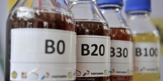 Kalahkan Amerika dan Jerman, RI Jadi Produsen Biodiesel Terbesar Dunia