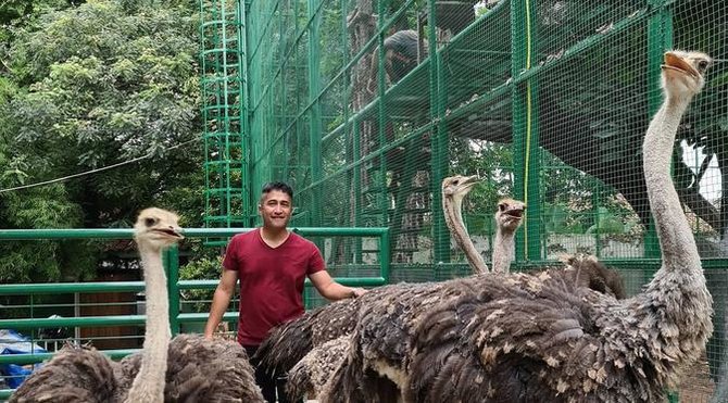 artis dengan pelliharaan unik