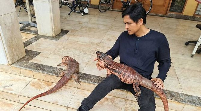 artis dengan pelliharaan unik
