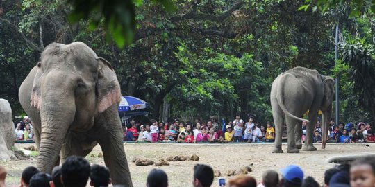 pemerintah dorong masyarakat nikmati libur lebaran dengan berwisata lokal
