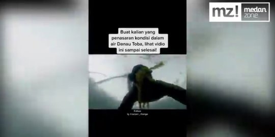 Menegangkan, Aksi Berani Pria Menyelam di Danau Toba Ini Curi Perhatian