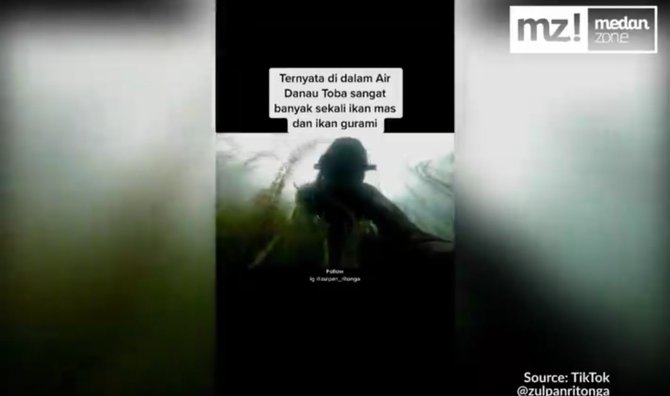 menegangkan aksi berani pria menyelam di danau toba ini curi perhatian